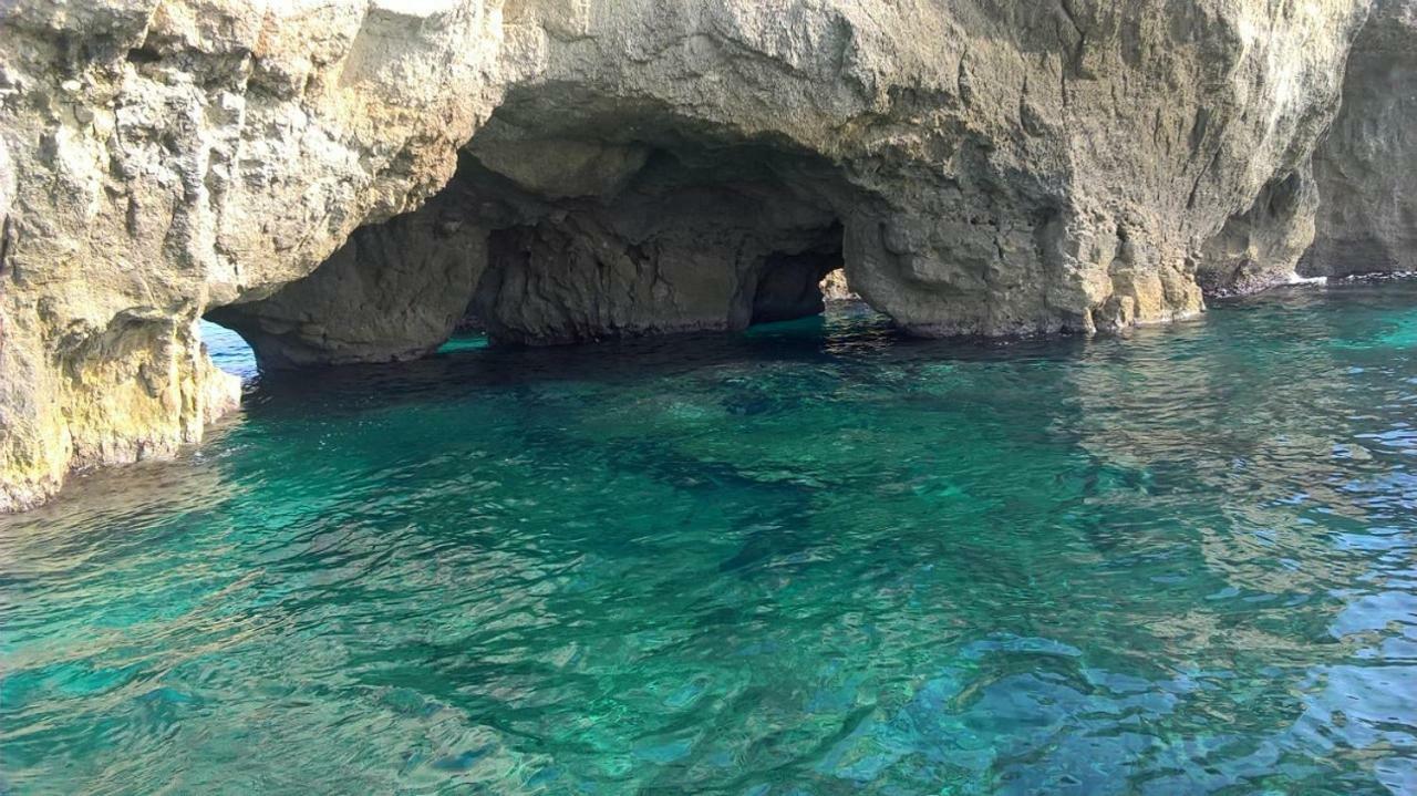 مبيت وإفطار Acquarium تروبيا المظهر الخارجي الصورة